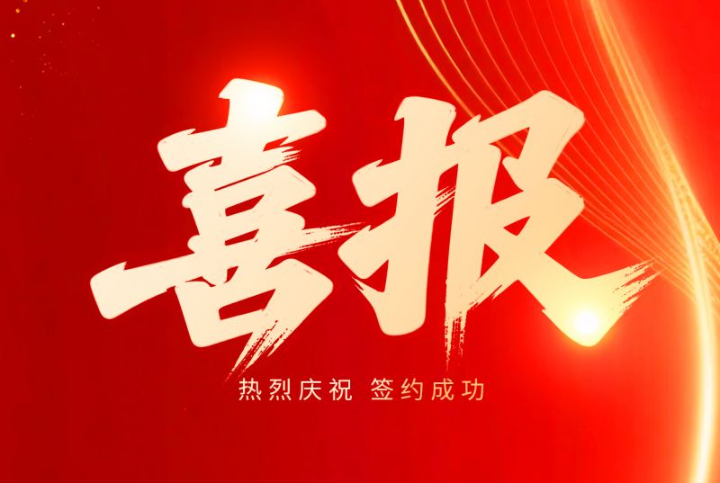喜报！头号玩家环保与埃及客户续写合作新篇章｜